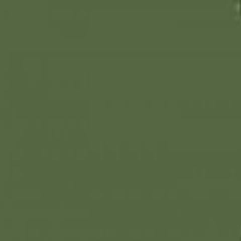 Mission Models Paint Russian Dark Olive 2 1oz — exact product reference