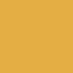 Mission Models Paint New Construction Yellow 1oz — exact product reference