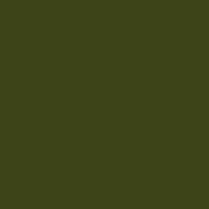 Tru-Color Paint FED STD 34079 FOREST GRN – TCP1403 — exact product reference