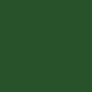 Tru-Color Paint METALLIC MEDIUM GREEN 1OZ – TCP719 — exact product reference