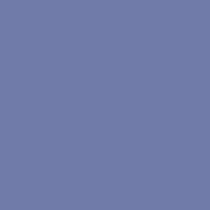 Tru-Color Paint GRAPHITE NIGHTMIST MET – TCP756 — exact product reference