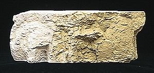 Woodland Scenics C1223 Yellow Ochre Terrain Paint - product image