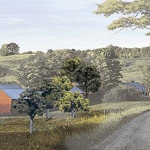 Woodland Scenics Mixed Green Deciduous Trees – 2 to 3 in – TR1571