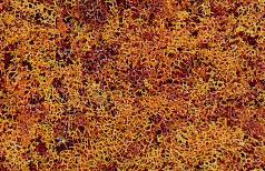 Woodland Scenics F56 Late Fall Mix Foliage package