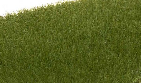 Woodland Scenics FS617 Static Grass - Dark Green - 4mm - product image