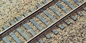 Central Valley Model Works HO CVT BRANCH TIE STRP 50 #2002 - product image