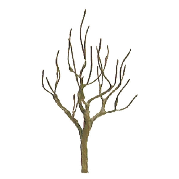 JTT 94112 deciduous tree armatures — manufacturer's bare-frame detail; full pack not shown