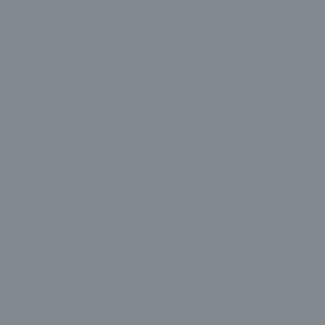 Tru-Color Paint SILVER TOPAZ PERALESCENT – TCP754 — exact product reference