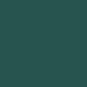 Tru-Color Paint CAYMAN BLUE POLY 1OZ – TCP769 — exact product reference