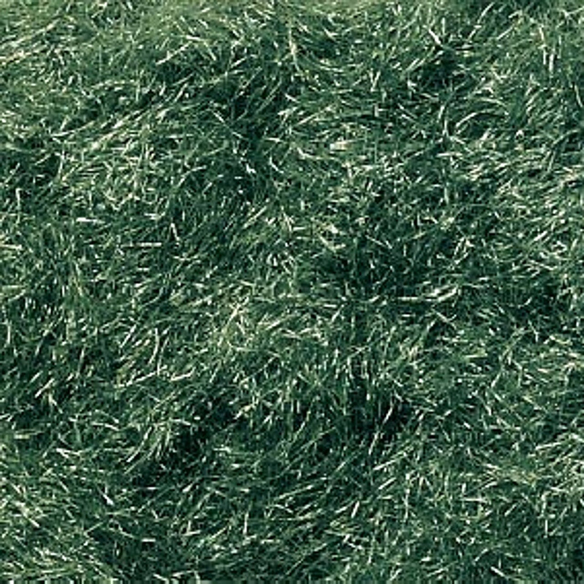 Woodland Scenics Dark Green Flock scenery material