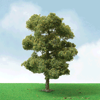 JTT Scenery Products 92207 European Plane Trees (3) — exact JTT Scenery Products product view