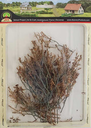 JTT Foliage Branches - 1.5"-3", 60-Pack | 95522 — exact product reference