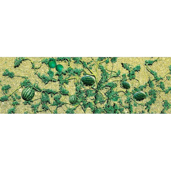 JTT HO Scale Watermelon Patch - 6-Pack | 95575 — exact product reference