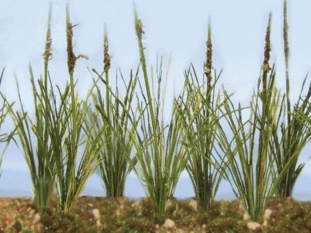 JTT Cattails Dried - 3/4" | 95633