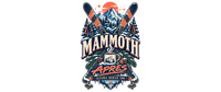 Mammoth Lakes Après Ski artwork close-up
