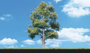Woodland Scenics Waters Edge foliage and trunk detail shown in a landscaped scene; scenery is not included.