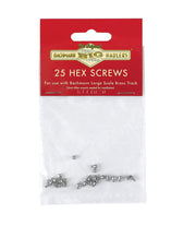 Bachmann Large Scale Stainless Steel Hex Screws - 25 Pack #94656 - exact product image