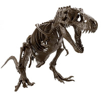 Bandai 2569327 Imaginary Skeleton: Tyrannosaurus Dinosaur Model Kit - product view 2