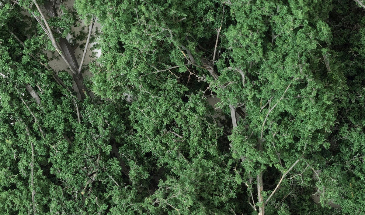 Woodland Scenics F1130 material close-up photographed by the manufacturer