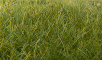 Woodland Scenics FS625 Dark Green Static Grass 12mm actual applied grass fibers close-up photograph