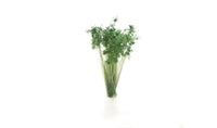 Woodland Scenics G6632 All Game Terrain Dark Green Shrubs, close-up detail