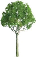 JTT Scenery 94248 one inch roundhead trees six pack