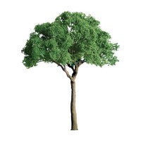 JTT 94398 green jacaranda trees 1/2 inch Z scale 6 pack