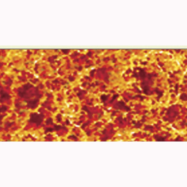 JTT 95072 fine late-fall fiber cluster texture and color detail