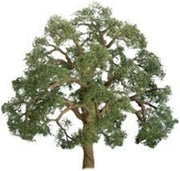 LIVE OAK 5" PRO 1PK (JTT96043)