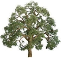 LIVE OAK 5" PRO 1PK (JTT96043)