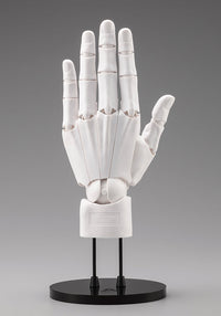Kotobukiya AT036 men's left-hand model in white, back of open left hand on stand