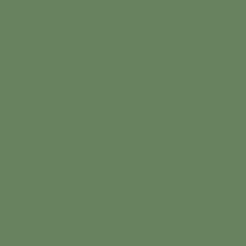 Mission Models Paint Resedagrun RAL 6011 1oz — exact product reference