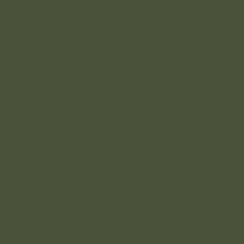 Mission Models Paint Russian Dark Olive 34102 1oz — exact product reference