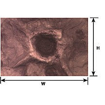 Plastruct Moon & War Craters Sheet 12" x 7" (2 per pack) — exact product reference