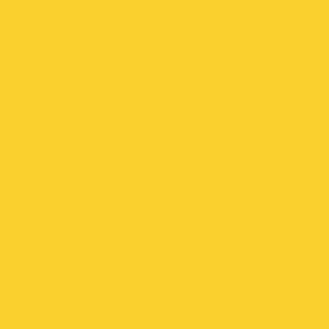 FEC YELLOW 1 OZ (TCP321)