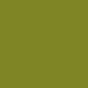 NITRO YELLOW GREEN (TCP553)
