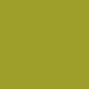 KANDY LIME GREEN 1OZ (TCP554)