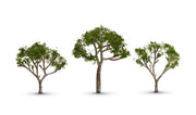 Woodland Scenics TR3525 Gum Trees, three pale-trunked trees with sparse green foliage.