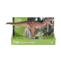 Toyway TW29100 Tyrannosaurus - retail package