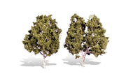 Woodland Scenics TR3536 Waters Edge pair of ready-made trees with pale trunks and green foliage.