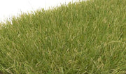 Woodland Scenics FS622 Medium Green 7 mm Static Grass package