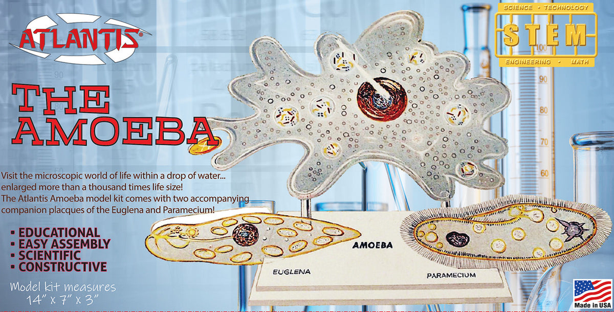 Atlantis Amazing Amoeba educational STEM model kit