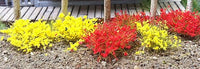 Bachmann 31034 6mm yellow and red tufts 100-piece pack primary view