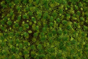 Medium Green Tufted Grass Mat (one 11.75" X 7.5" sheet) - Bachmann 32922