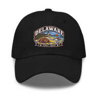 Delaware embroidered dad hat in Black