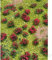 JTT Flowering Meadow Red