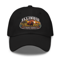 Illinois embroidered dad hat in Black