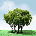 JTT 92403 Privet 5 Inch Pro Elite Tree