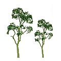 JTT Pro Gum Trees 1-inch 6-Pack 94408