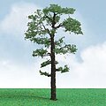JTT 92212 N scale Scots Pine Elite 3 pack
